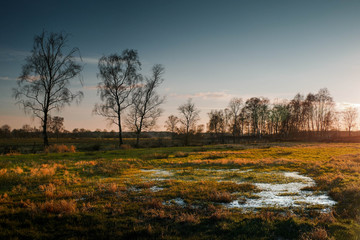 Amtsvenn huentefeld in the evening 4