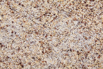 Corn bran. Waste from processing of corn. Mixed different grain. Spilled bran. Feed for farm animals