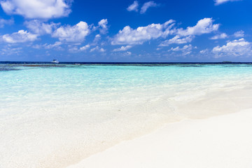 Obraz premium インド洋の美しいサンゴ礁の海