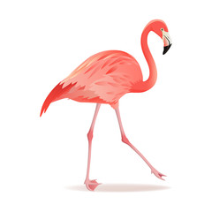 Naklejka premium Red and pink flamingo vector illustration. Can be used for fashion print. Cool exotic bird walking decorative design elements collection. Flamingo Isolated on white background