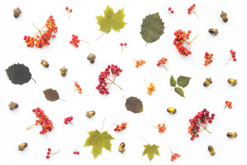 Autumn leaves, viburnum, gift box on white background. Flat lay, top view.