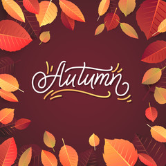 Autumn Lettering. Hand Written Typography on White Background. Vector Illustration for Your Design.