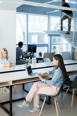 Fototapeta premium Young casual businesswoman sitting at the table and typing on laptop at modern office