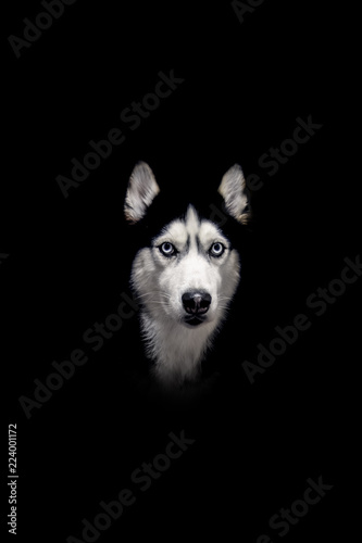 Unduh 9300 Background Blue Eyes Gratis Terbaru