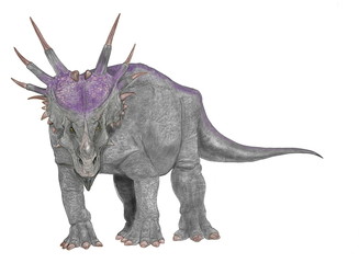 スティラコサウルス（尖のあるトカゲの意味）。周飾頭亜目、角竜類の草食恐竜。白亜紀後期のカナダ・アルバータ州の地層から多く発見されている。左右対の長い棘と鼻の上の60センチにもなる角が特徴。この種の体形については現代の哺乳類のアフリカサイが想起され、収斂進化を思わせる。イラストの体形は重心が前脚か、後ろ脚かの違いはあるが、アフリカサイを参考に描いた。