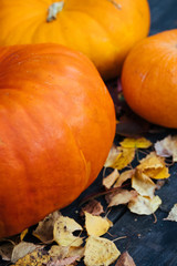 Orange pumpkins on a wooden table in the autumn garden