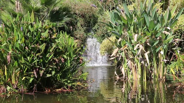 Waterfall in Olbius-Riquier Park in Hy&egrave;res - France