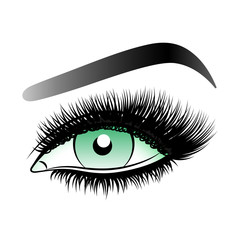 Green woman eye with long false lashes with eyebrows.