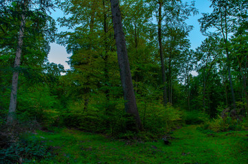 Obraz premium links oder rechts