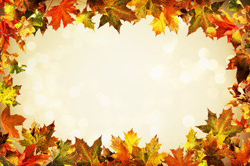 Naklejka na ściany i meble Autumn backdrop of colorful autumn leaves