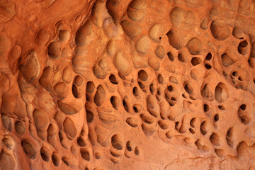 differential erosion of sandstone creating bumbs and hollows, Valley of Fire State Park, Utah, USA