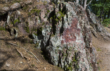 Summer mountain landscape.