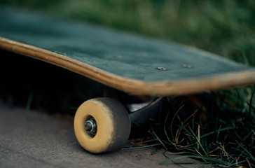 Old skateboard on grass. © Bogdan