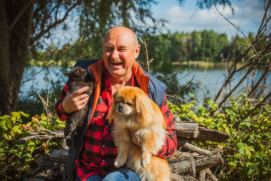 Senior Man With His Pet Little Red Pekingese Dog And Kitty At Home Yard. American Mature Man With A Dog And Cat. Concept Of Life Animals And Human 