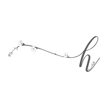 Vector Hand Drawn floral h monogram and logo