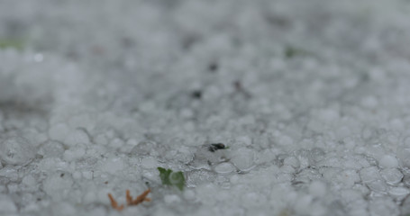 closeup of hailstones falling on the pavement during strong hailstorm