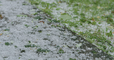 closeup of hailstones on the grass after strong hailstorm