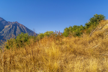 Fototapeta premium Landscape, mountain panorama, last days of summer