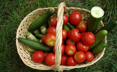 Basket with vegetables