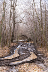 Dirty autumn road in a forest