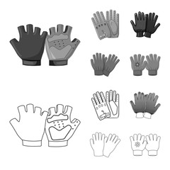Isolated object of glove and winter logo. Set of glove and equipment vector icon for stock.