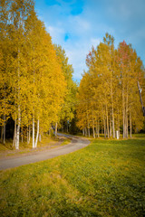 tourism in small Karelians near Arkhangelsk