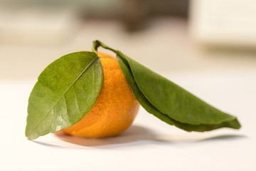 orange with green leaves