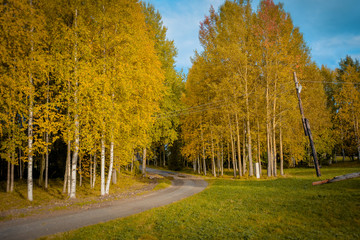 Fototapeta premium tourism in small Karelians near Arkhangelsk