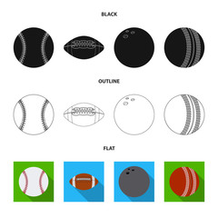 Vector illustration of sport and ball icon. Collection of sport and athletic stock symbol for web.