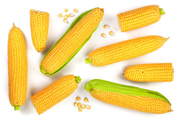 ear of corn isolated on a white background. Top view. Set or collection