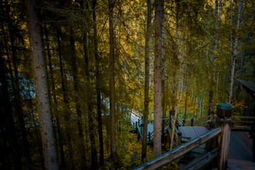 Fototapeta premium tourism in small Karelians near Arkhangelsk