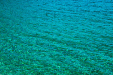 The beautiful seabed