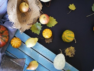  Seasonal autumn composition from a variety of pumpkins, pears, apples, yellow leaves and straw hat, preparation for a home holiday, Helloween, dark background, top view