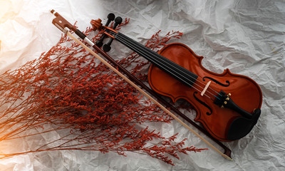 The wooden violin and bow put beside group of dried flower,warm light tone,blurry light around
