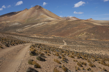 Colourful desert landscape in Lauca National Park on the altiplano of northern Chile