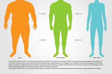 BMI or Body Mass Index Infographic Chart.Vector illustration.