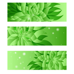 Set of green natural floral business card template
