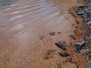Autumn at Baguilt Lake