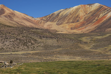 Course green grass covering a wetland area, also known as a bofedal in Spanish, high in the Atacama desert of north east Chile near Lauca National Park.