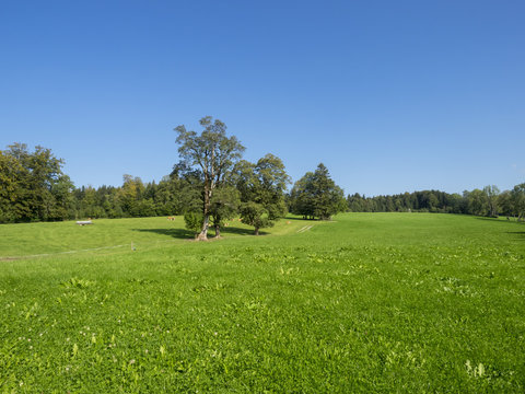 Paysages champêtres de Bavière. Vues sur les collines, prairies verdoyantes et pâturages autour du village de Hundham dans la vallée du Leitzach au pied du Schwarzenberg.