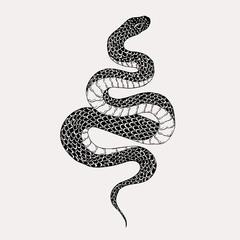 Hand drawn vintage snake illustration. Graphic sketch for posters, tattoo, clothes, t-shirt design, pins, patches, badges, stickers.