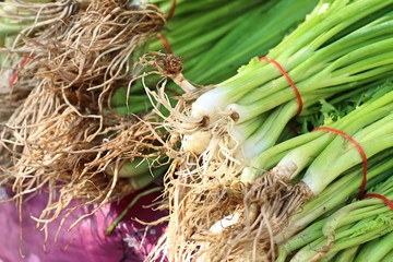 Spring onions  at market