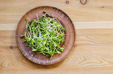 Sunflower seedlings on a clay plate on a wooden background.