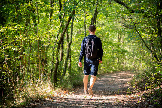 Traveler with backpack walks through the forest