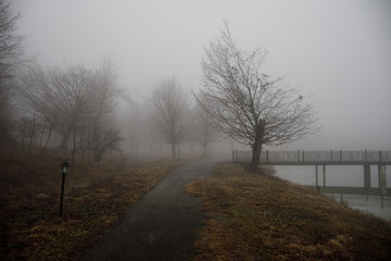 Amazing landscape of bridge reflect on surface water of lake, fog evaporate from pond make romantic scene or Beautiful bridge on lake with trees at fog.