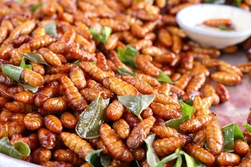 Fried insect at street food
