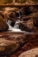 Wild motion mountain river with  waterfalls over wet rocks in a forest nature landscape in moody autumn sunlight. Ilsetal in Ilsenburg, National Park Harz in Germany