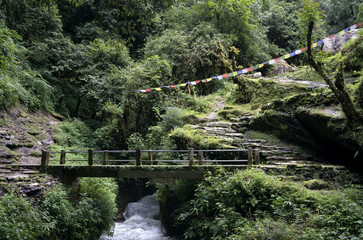 bridge nepal