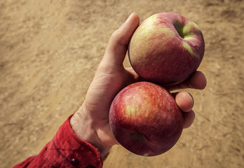 A Man Holding Two Apples