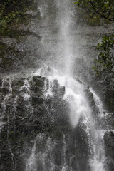 Close Up Waterfall Down Cliff in Jungle